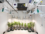 PortaFab Cultivation Room - Flower Room Vertical Racking System